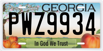 GA license plate PWZ9934