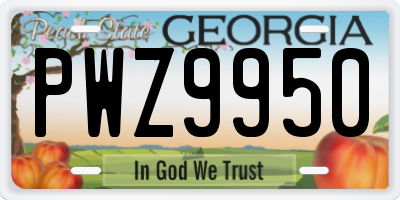 GA license plate PWZ9950