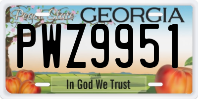 GA license plate PWZ9951
