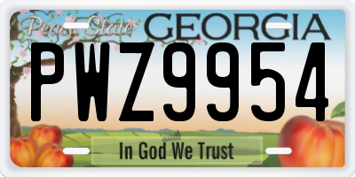 GA license plate PWZ9954