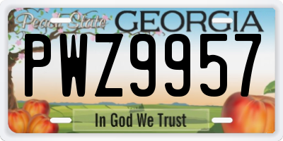 GA license plate PWZ9957