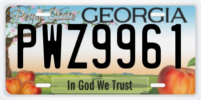 GA license plate PWZ9961