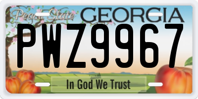 GA license plate PWZ9967
