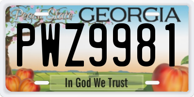 GA license plate PWZ9981