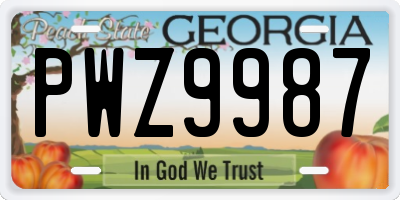 GA license plate PWZ9987