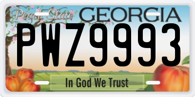 GA license plate PWZ9993
