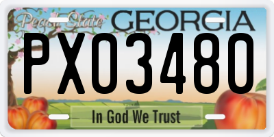 GA license plate PX03480