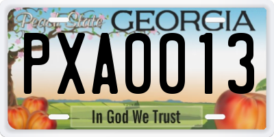 GA license plate PXA0013