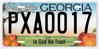 GA license plate PXA0017