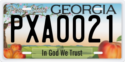 GA license plate PXA0021