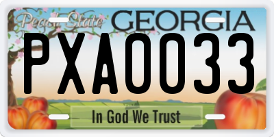 GA license plate PXA0033