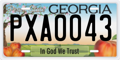 GA license plate PXA0043