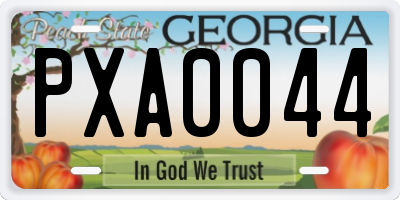 GA license plate PXA0044