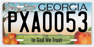 GA license plate PXA0053