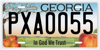 GA license plate PXA0055