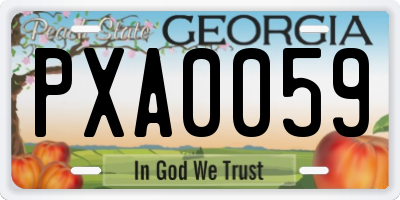 GA license plate PXA0059
