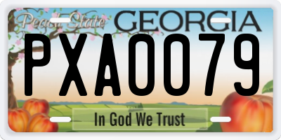GA license plate PXA0079