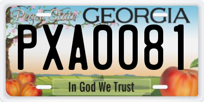 GA license plate PXA0081