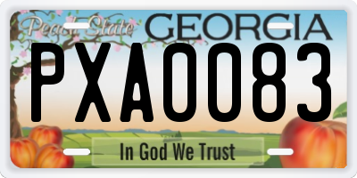 GA license plate PXA0083