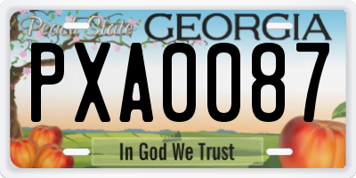 GA license plate PXA0087