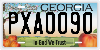 GA license plate PXA0090