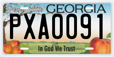 GA license plate PXA0091