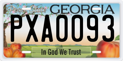 GA license plate PXA0093