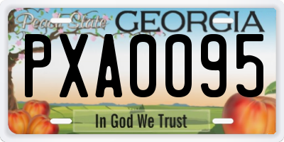 GA license plate PXA0095