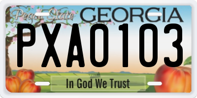 GA license plate PXA0103