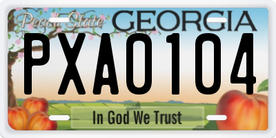 GA license plate PXA0104