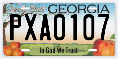GA license plate PXA0107