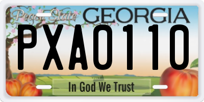 GA license plate PXA0110