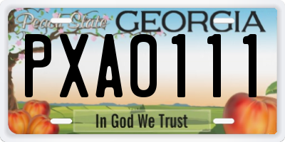 GA license plate PXA0111