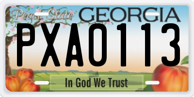 GA license plate PXA0113