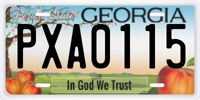 GA license plate PXA0115