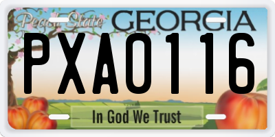 GA license plate PXA0116