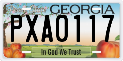 GA license plate PXA0117