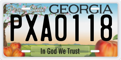 GA license plate PXA0118