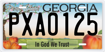 GA license plate PXA0125