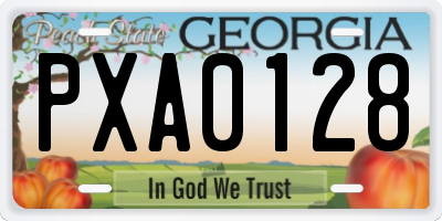 GA license plate PXA0128