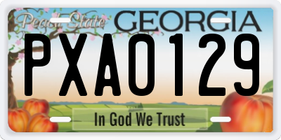 GA license plate PXA0129