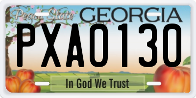 GA license plate PXA0130
