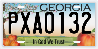 GA license plate PXA0132