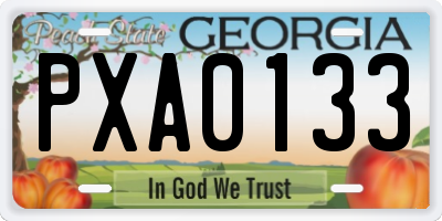 GA license plate PXA0133