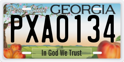 GA license plate PXA0134
