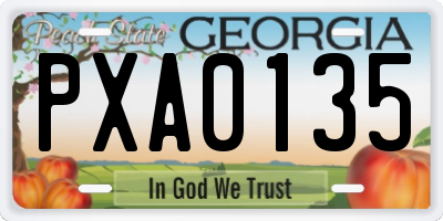GA license plate PXA0135