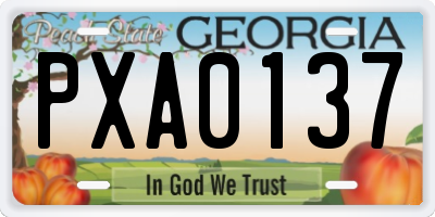 GA license plate PXA0137