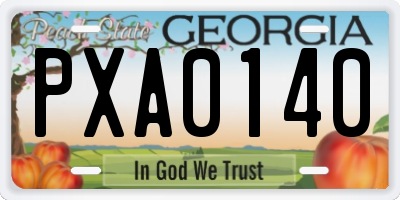 GA license plate PXA0140