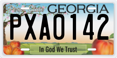 GA license plate PXA0142