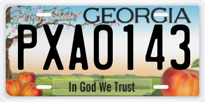 GA license plate PXA0143